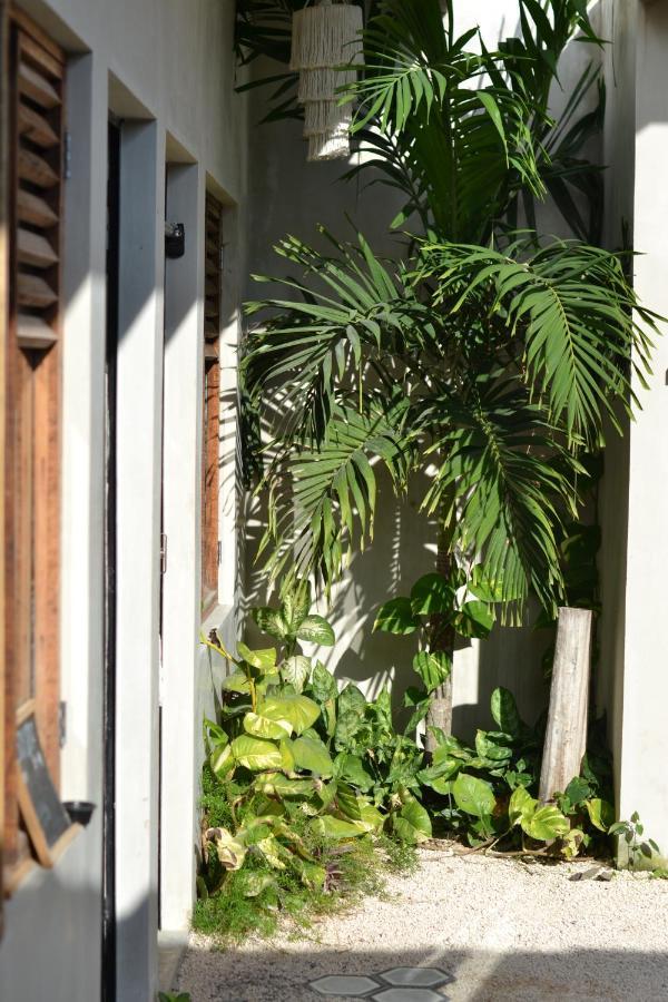 Dona Lucha Auberge de jeunesse Tulum