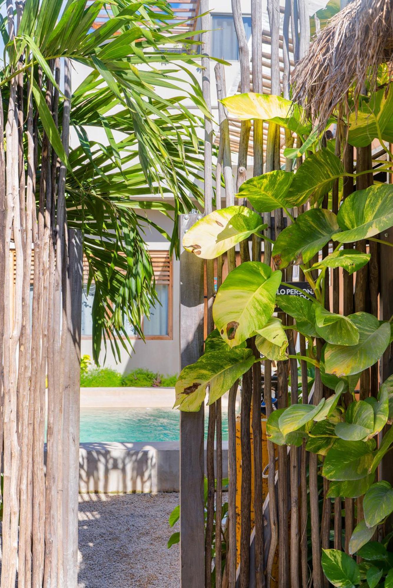 Dona Lucha Auberge de jeunesse Tulum