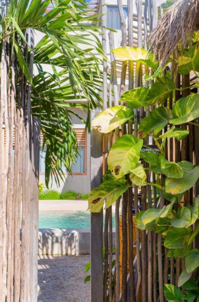 Auberge de jeunesse Dona Lucha Tulum